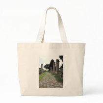 Ostia - Harbour City of Ancient Rome bags