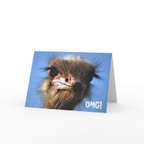 Ostrich Birthday Card