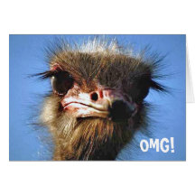 Ostrich Birthday Card