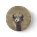 Ostrich Button by lynnhsmomof2 Ostrich Button