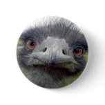 Ostrich