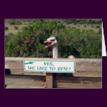 Ostrich