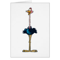 Ostrich Greeting Card
