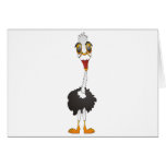 Ostrich