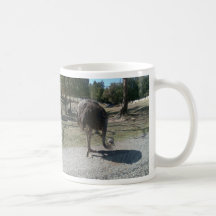 Ostrich Coffee Mugs