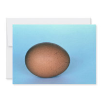 Ostrich egg, Patagonia, Argentina Announcement