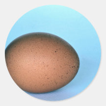 Ostrich egg, Patagonia, Argentina Sticker