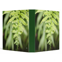 Ostrich Fern binders by dorenemlorenz Ostrich Fern binders