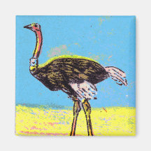 Ostrich Fridge Magnets