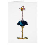 Ostrich Greeting Card