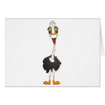 Ostrich Greeting Cards