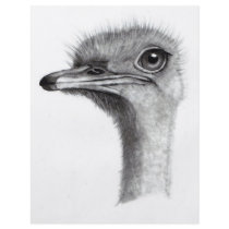 OSTRICH HEAD IN PENCIL: ART: REALISM FLYER DESIGN
