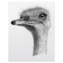 OSTRICH HEAD IN PENCIL: ART: REALISM letterhead