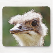 Ostrich! mousepads