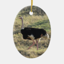 Ostrich Ornament