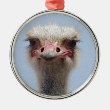 Ostrich Ornament