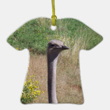 Ostrich Ornaments