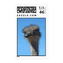 Ostrich postage
