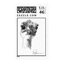 Ostrich postage