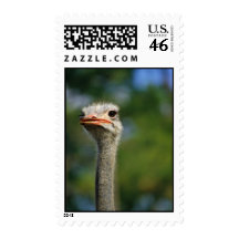 Ostrich Postage