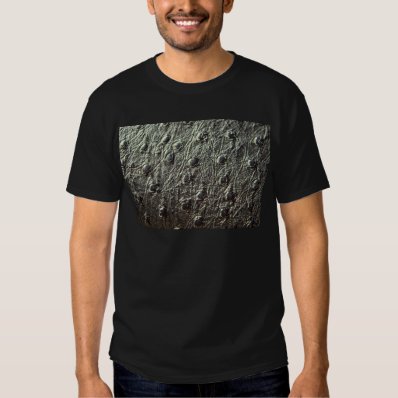 Ostrich Skin Leather T-shirt