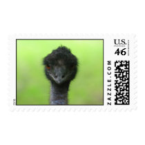 Ostrich Stamps