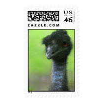 Ostrich Stamps