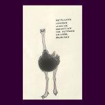 ostrich trivia