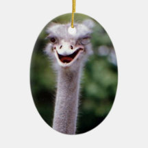 Ostrich Winking - Funny Christmas Tree Ornament