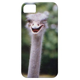 Ostrich Winking - Funny iPhone 5 Case