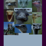 Ostriches Are Ugly