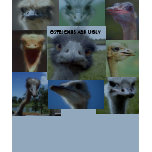 Ostriches Are Ugly
