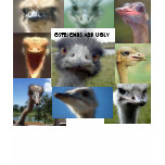 Ostriches Are Ugly T Shirts