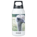 ostrichhead.JPG Thermos Water Bottle