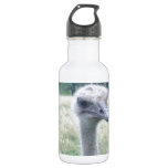 ostrichhead.JPG Water Bottle
