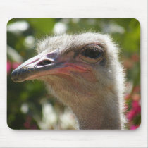 Ostritch Mousepads