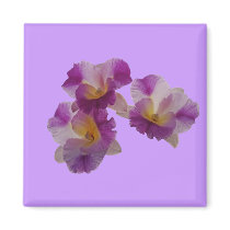 Otaara Orchid magnets