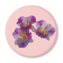 Otaara Orchid magnets