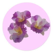 Otaara Orchid stickers