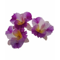 Otaara Orchid t-shirts