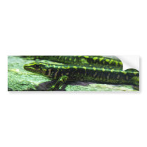 Otago Skink Bumper Sticker