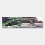 Otago Skink Bumper Sticker