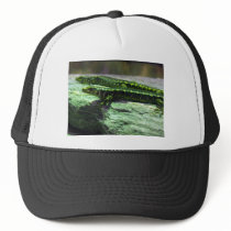 Otago Skink Mesh Hats