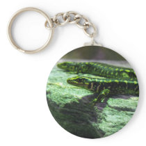 Otago Skink Keychain
