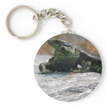Otago Skink Key Chains