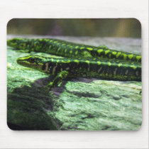 Otago Skink Mousepad