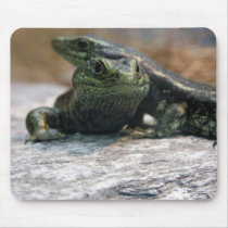 Otago Skink Mousepad