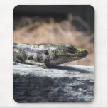 Otago Skink Mousepad