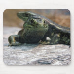 Otago Skink Mousepad