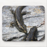 Otago Skink Mousepad